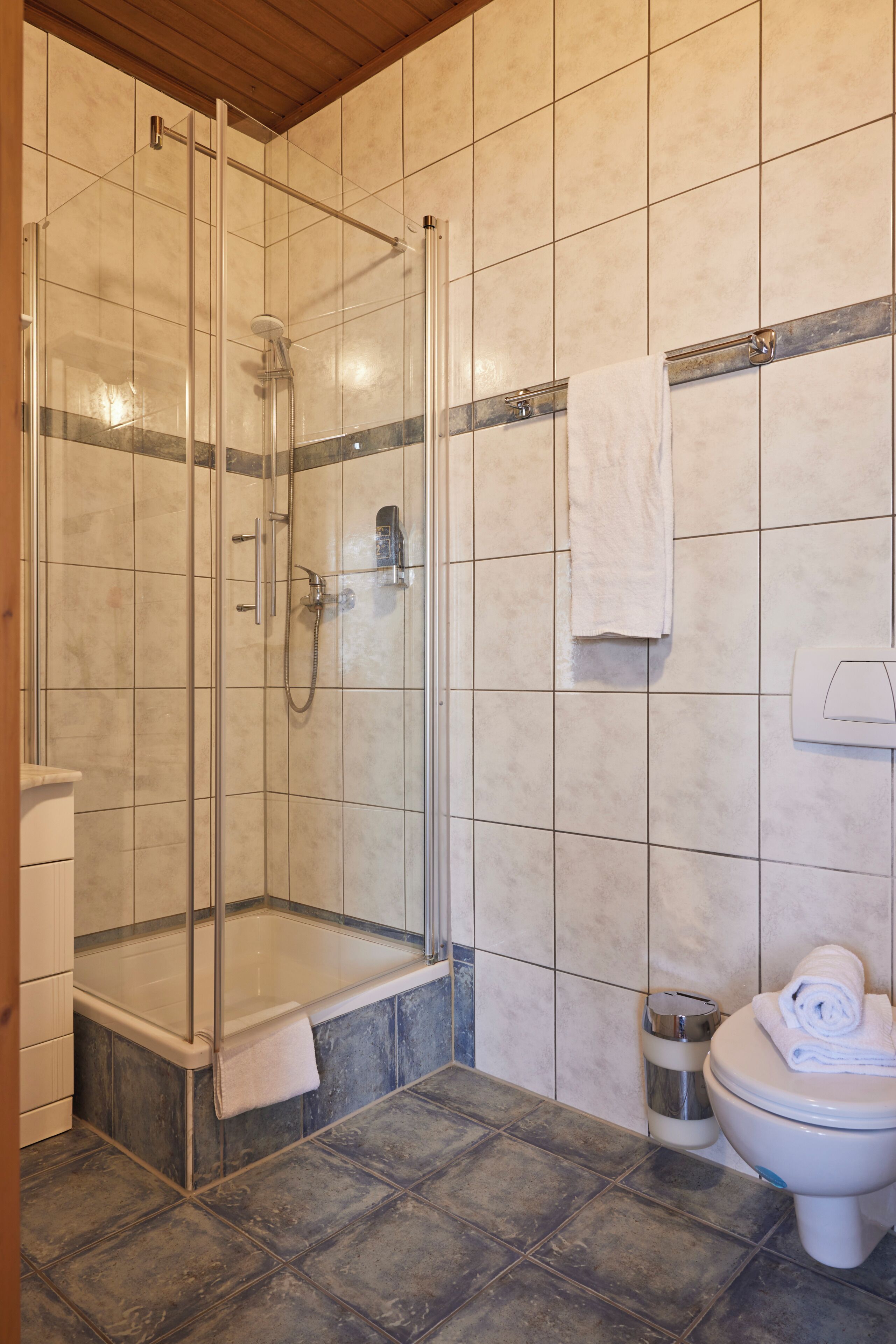 Un baño con ducha de mampara de vidrio, inodoro y cubo de basura.