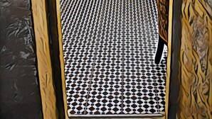 Un étroit passage donne accès à une pièce dont le sol est recouvert d’un motif décoratif et qui contient une chaise dont le revêtement est orné d’un imprimé à motifs de tigre.