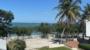 A coastal property with a grassy lawn, palm trees, and a white fence overlooking the sea. - Bahia Bay Resort (Key Largo)