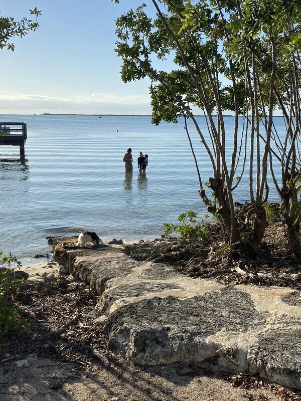 Grand Room | Pemandangan air