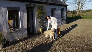 Ein weißes Gebäude mit einem Schotterweg und einem Hund davor.
