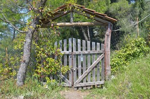 Property grounds - Grove Cottage Pelion (Volos)