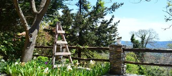 Grove Cottage Pelion