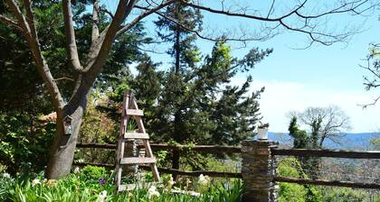 Grove Cottage Pelion