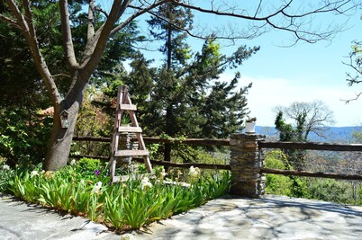 Grove Cottage Pelion