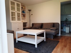 TV, DVD player, books, video library