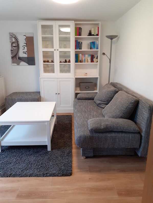 TV, DVD player, books, video library