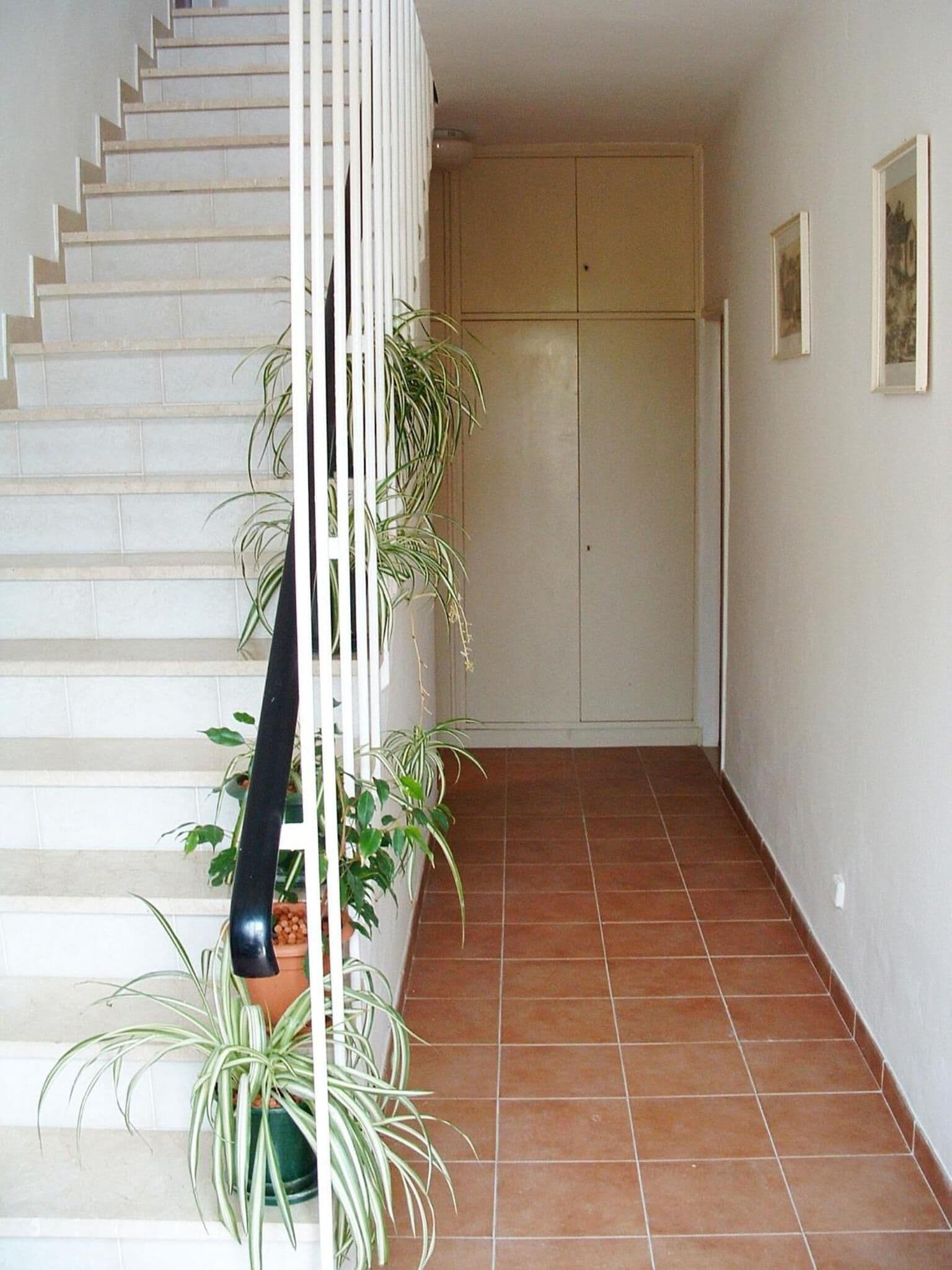 A staircase with white railings, flanked by potted plants.