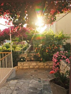 Property grounds - Rooms Vinka Tudor (Hvar)