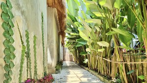 Park view - BoBos Villa (Canggu)