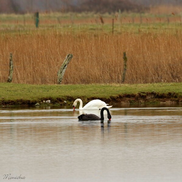 Photo non classée, 1 sur 6, bouton