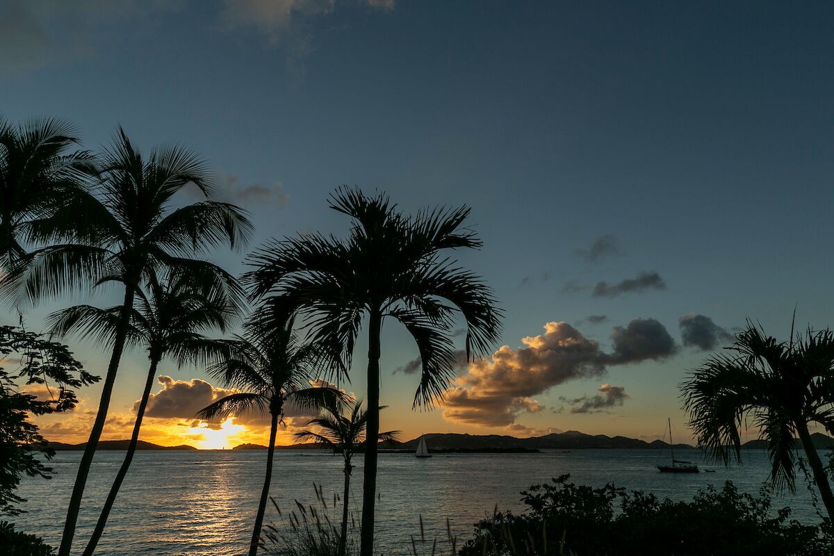 Un coucher de soleil sur une mer calme, avec des palmiers se découpant en silhouette sur le ciel.