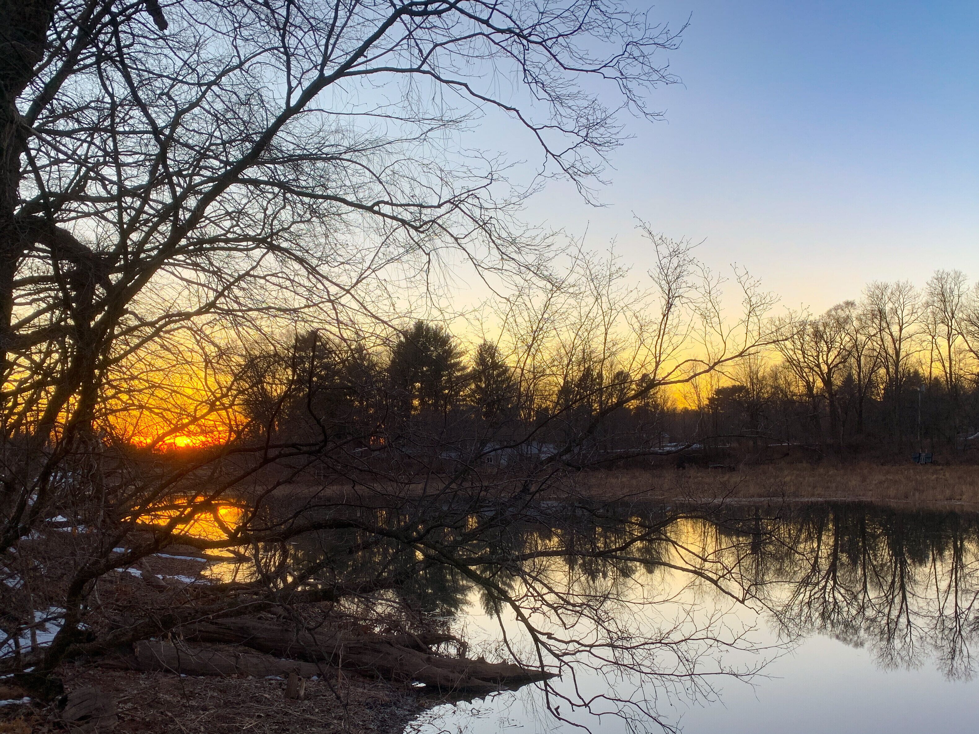 A serene lakeside scene with trees and a sunset.