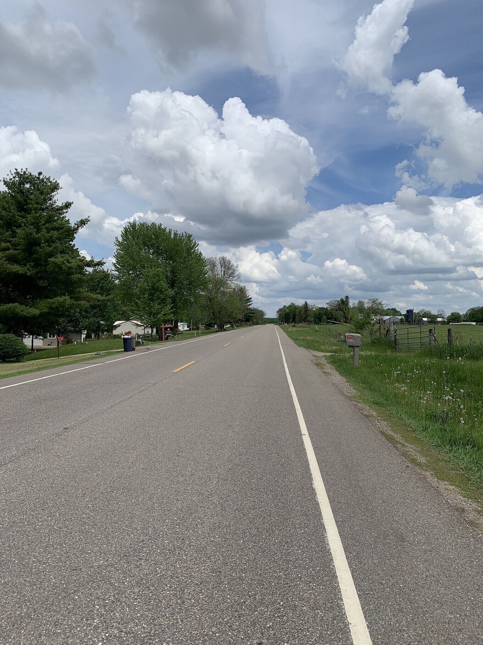A road with a white dividing line, surrounded by trees and grassy areas.