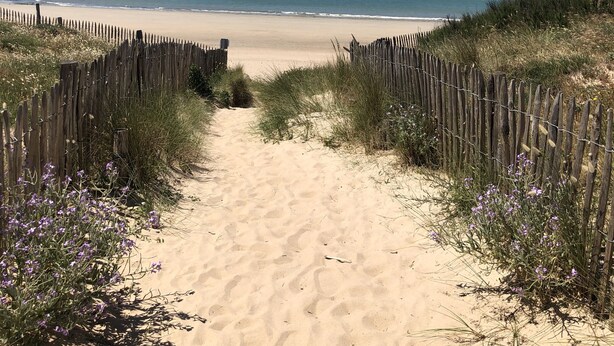 Un sentier de sable qui longe la plage et mène à l’océan, bordé de clôtures en bois et de végétation.