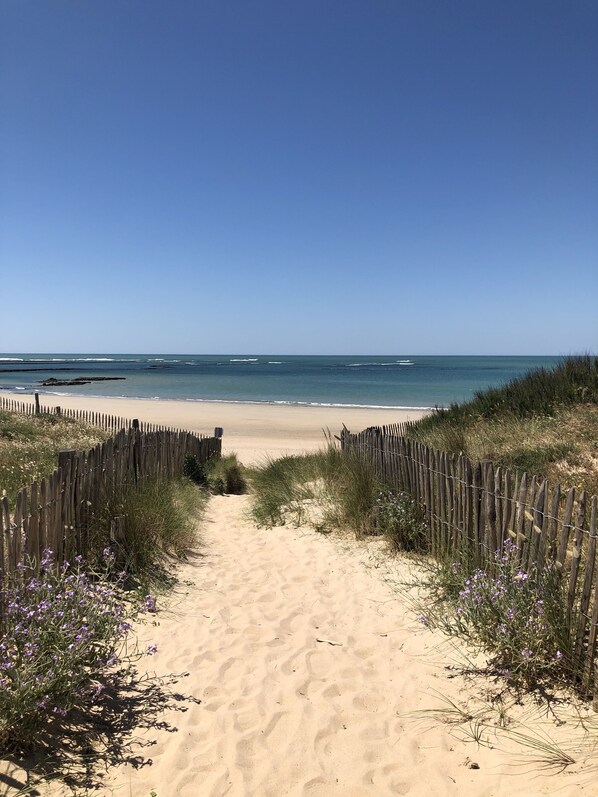 Plage, chaises longues