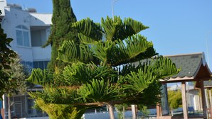Beach - Hira Hotel (Erdemli)