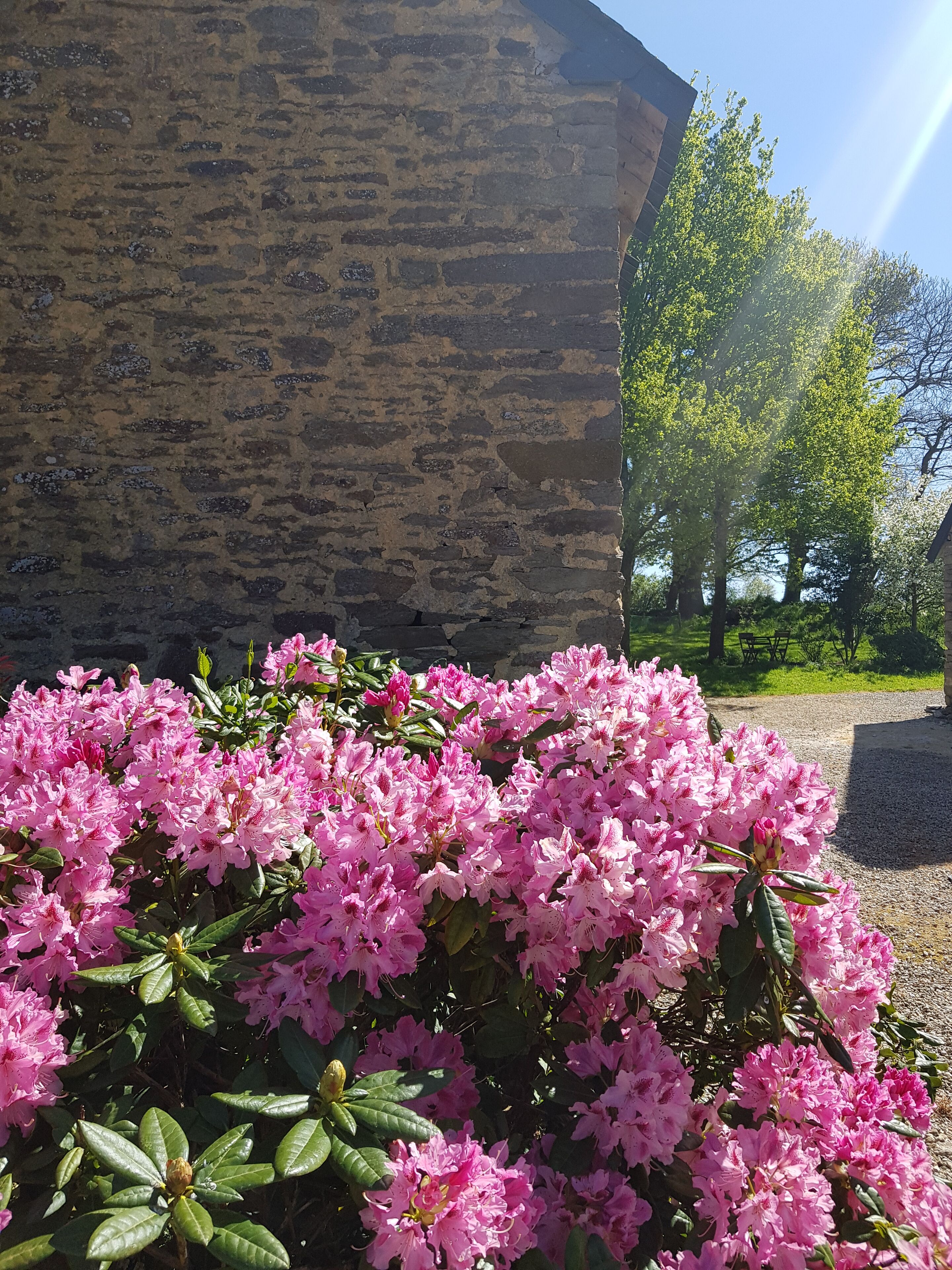Áreas de la propiedad
