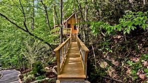 Terrain de l’hébergement 