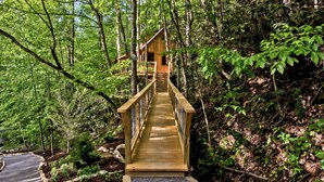 Uma ponte de madeira que leva a uma cabana em uma área arborizada.