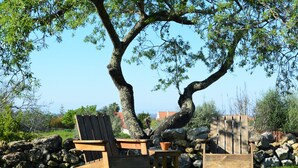 Ein Holztisch und -stuhl stehen unter einem Baum in einer grünen Wiese, im Hintergrund eine Steinsäule.