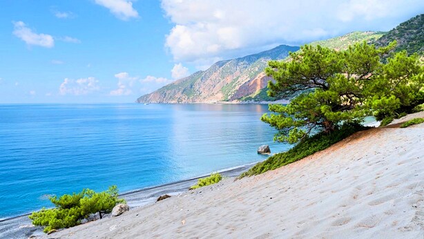 A coastal landscape with a clear blue sea, sandy beach, and a prominent pine tree. - Grand View Villa | Heated Pool (Georgioupoli)