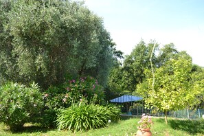 Property grounds - House with swimming pool and independent studio (Vence)