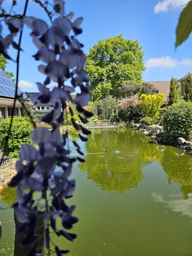 Ferienhaus Tini ***  mit WLAN mitten im Grünen und dennoch zentrumsnah