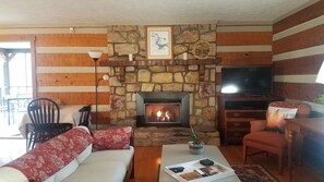 Smart TV, fireplace, DVD player, books