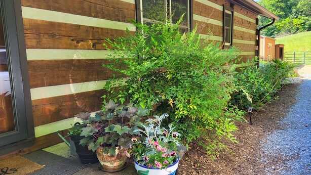 Une cabane en bois avec une allée en gravier et des plantes en pot devant l’entrée.