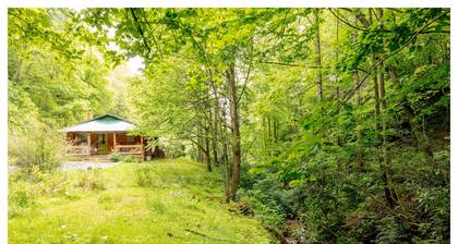 Private Mountain Retreat near Hot Springs & Appalachian Trail