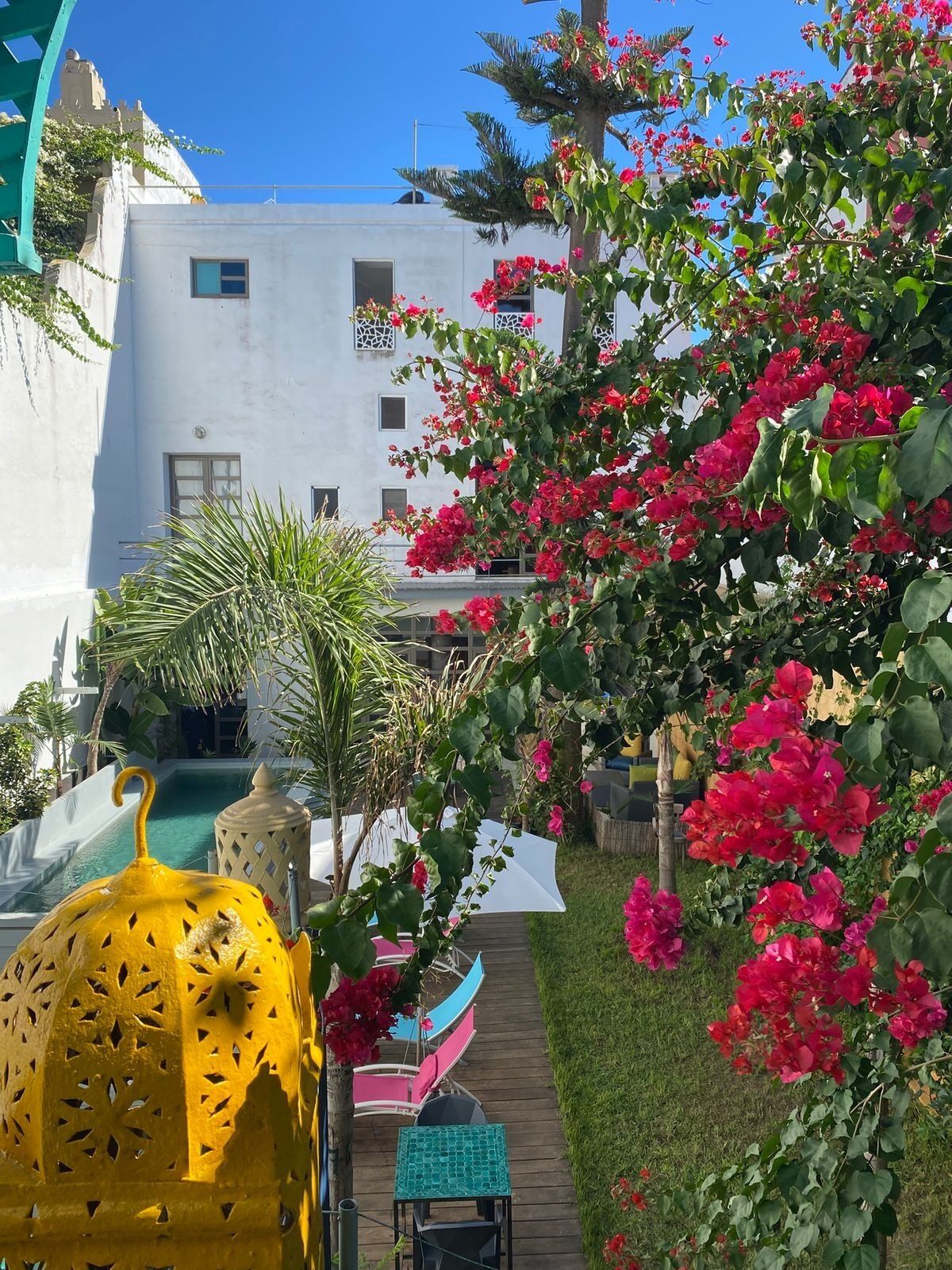 A courtyard with a pool, outdoor seating, and bougainvillea flowers.