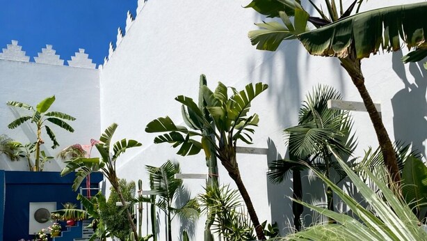 A pool area with a clear blue sky, white walls with decorative patterns, and various tropical plants. - Private_vacation_home (El Jadida)