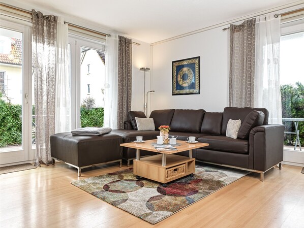 電視、DVD 播放機