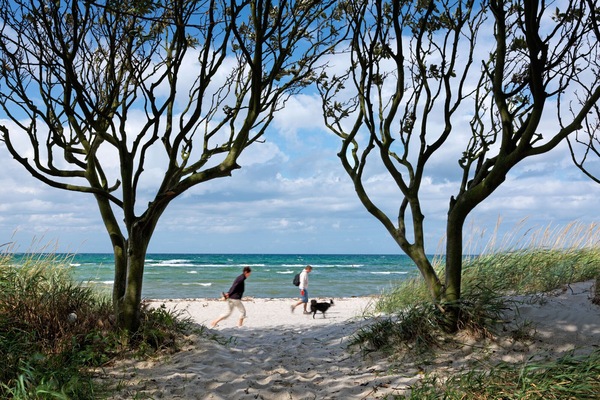 Vlak bij het strand