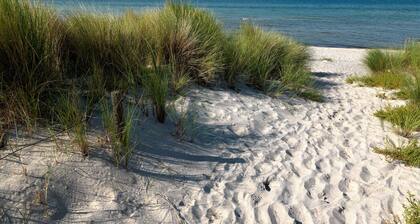 App. Westwind - Bright one-room apartment right on the beach