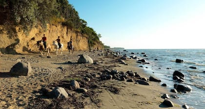 App. Bernstein - Holidays directly on the beach of the Black Bush!