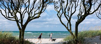 Haus im Wiesengrund - modern holiday home in Danish style