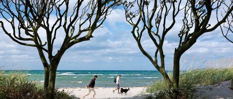 Una spiaggia nelle vicinanze