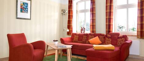 Televisie, een open haard, een dvd-speler en boeken