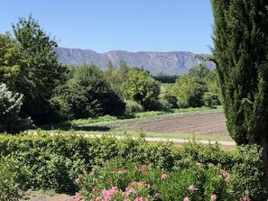 Property grounds - 5-star villa, air-conditioned, quiet, view of the Alpilles, heated pool (Mollégès)