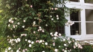 Un edificio con fachada de ladrillo y una ventana con marco blanco.