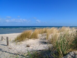 Plage à proximité