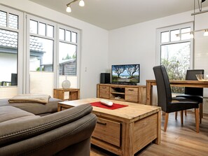 Televisión, chimenea, reproductor de DVD, libros