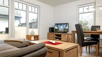 TV, fireplace, DVD player, books