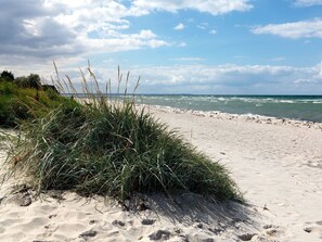 Playa en los alrededores 