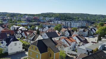 Pemandangan dari udara