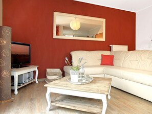 Télévision, cheminée, lecteur de DVD, livres