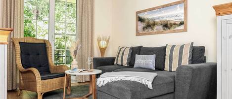 電視、DVD 播放機、書籍