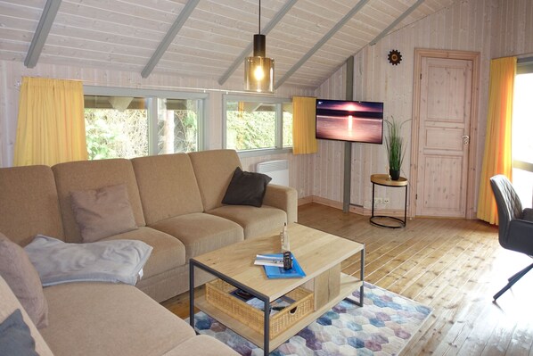 Televisión, reproductor de DVD, libros y estéreo 